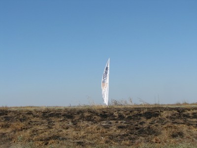 IMG_7542.JPG
