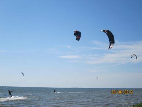 IMG_7357.jpg